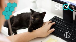 Curso de SEO para redactores